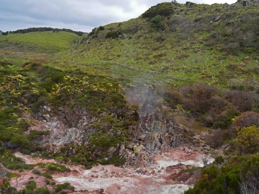 Steam rising from volcanic ground in Terceira Island, showcasing geological activity in a natural landscape.
