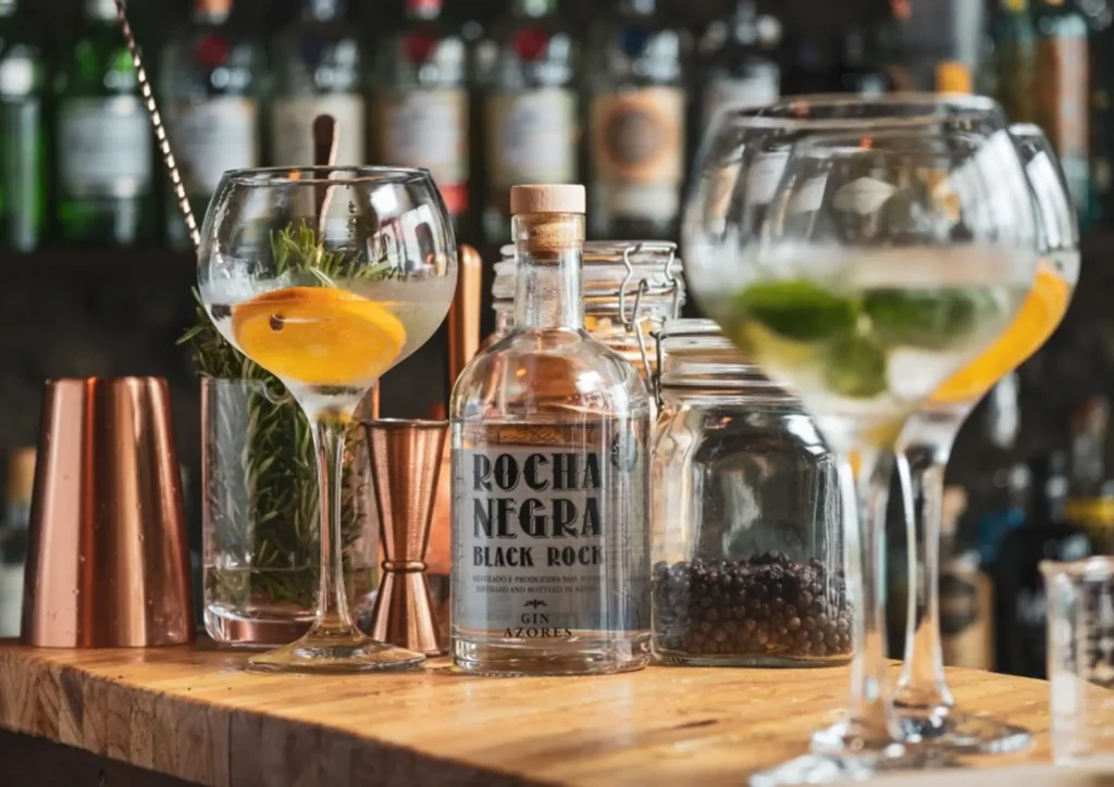 Two gin cocktails in glasses with a bottle labeled Rocha Negra and garnishes on a wooden bar.