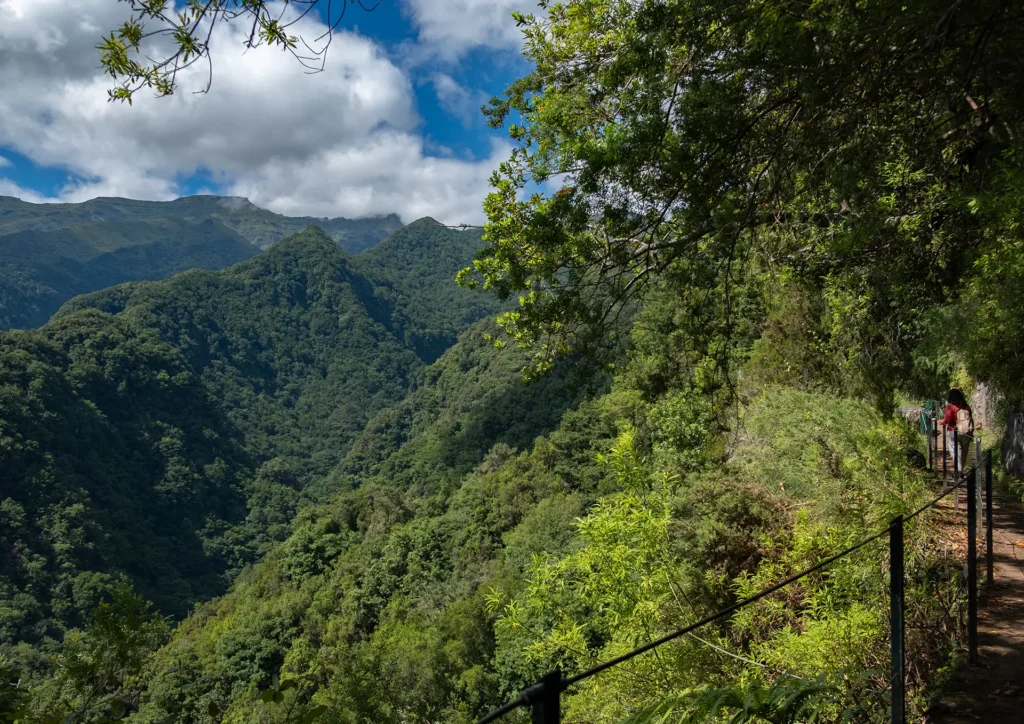 Hiking trail along the Levada do Rei with lush green mountains in the background.