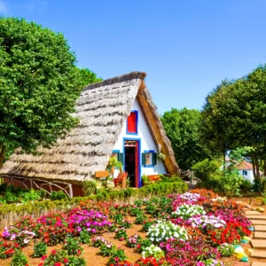 A traditional Madeiran house with a thatched roof and colorful doors in Santana, surrounded by flowers.