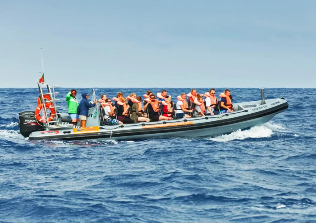 A group of people on a boat wearing life jackets during a whale and dolphin watching tour.