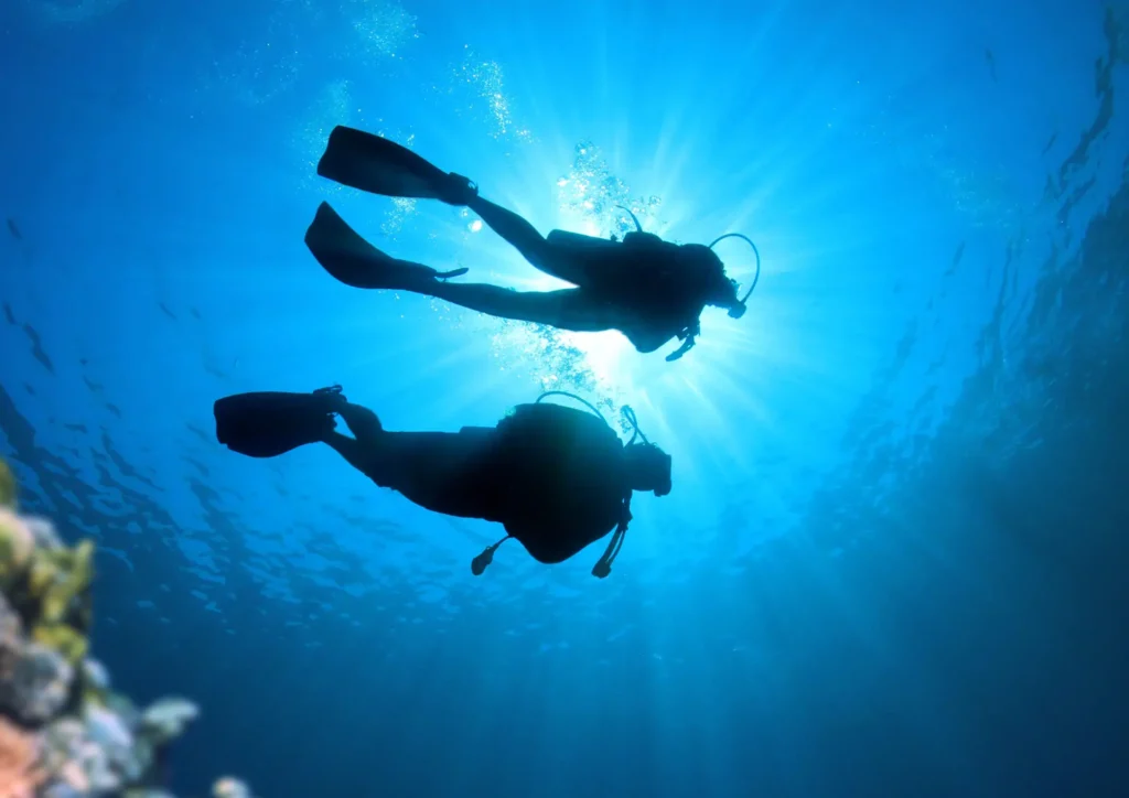Two divers silhouetted against sunlight filtering through the water surface.