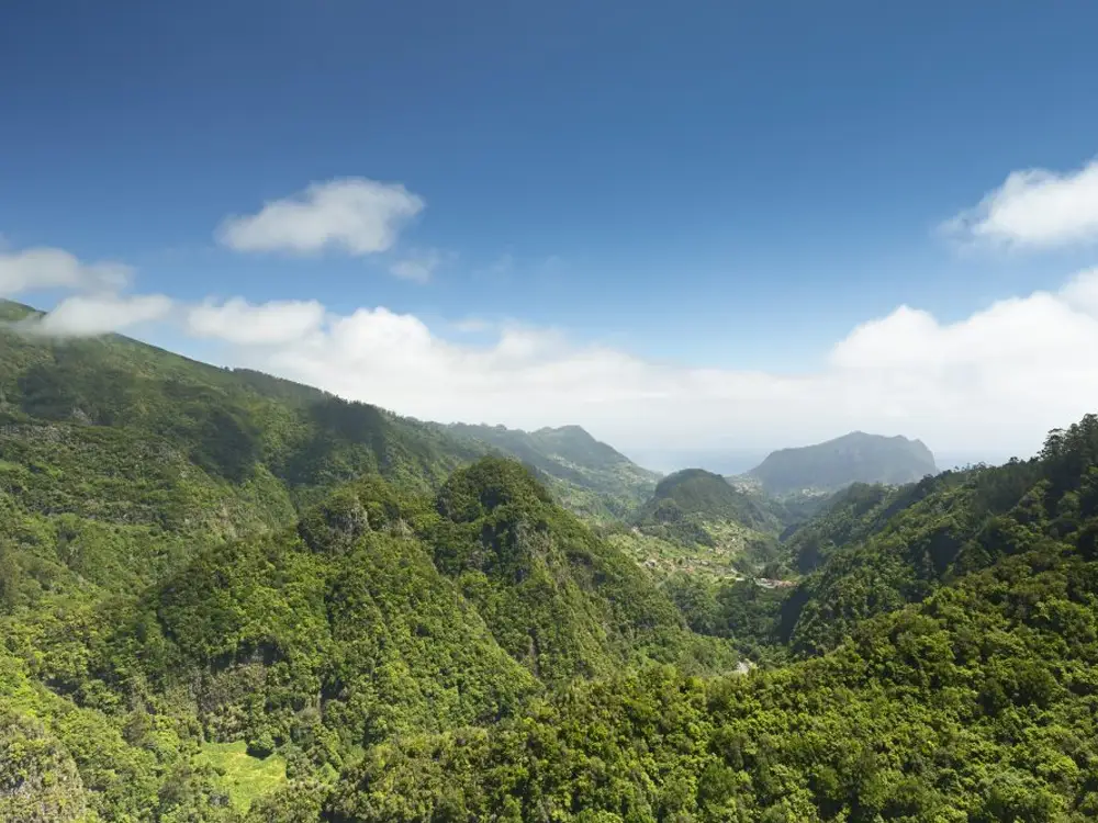 Panoramic view of the Laurisilva forest landscape at Ribeiro Frio with mountains and greenery.