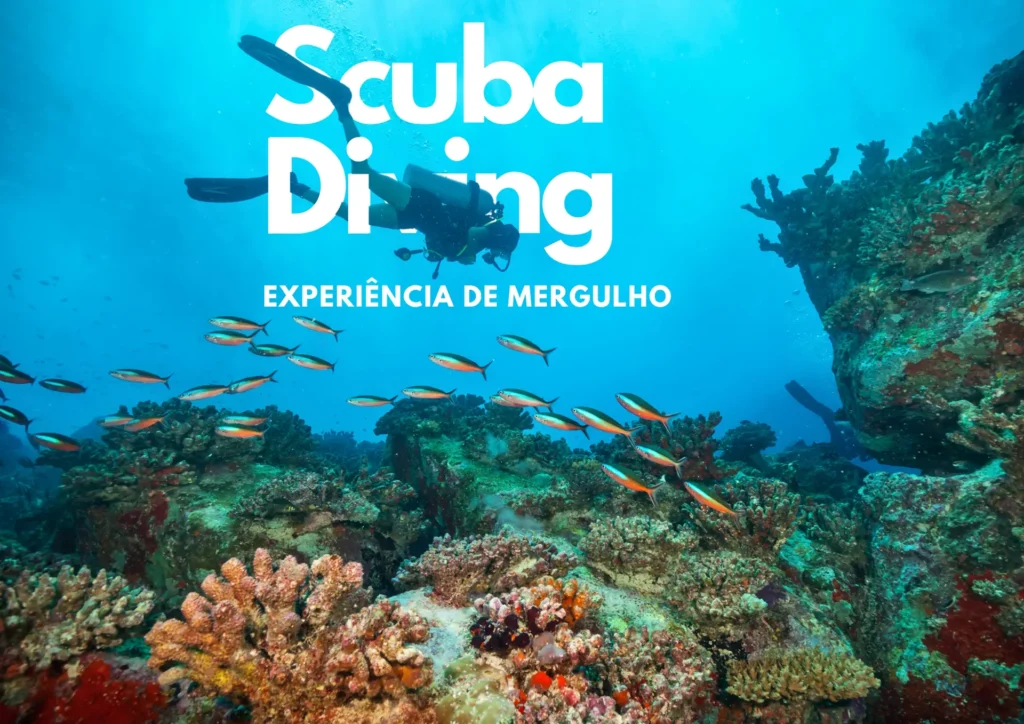 Underwater scene with a scuba diver and various fish swimming near coral reefs.