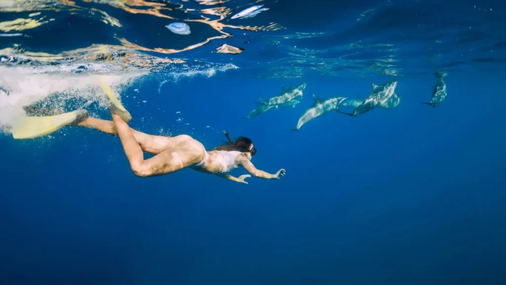 A person swimming underwater alongside a group of dolphins in clear blue water.