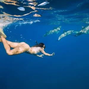 A person swimming underwater alongside a group of dolphins in clear blue water.