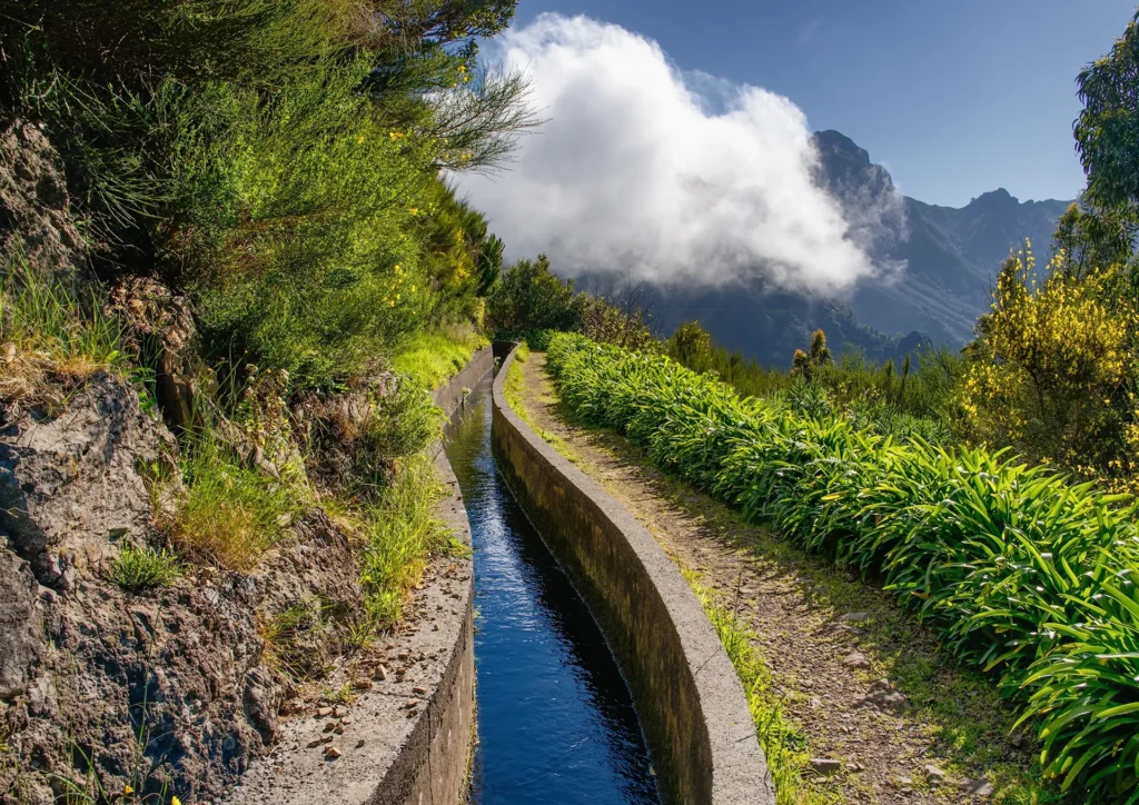 Levada walking trail with a narrow water channel surrounded by greenery in Serra d'Água.