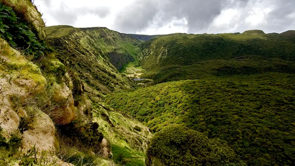 A panoramic view of a lush green valley surrounded by hills under a cloudy sky.