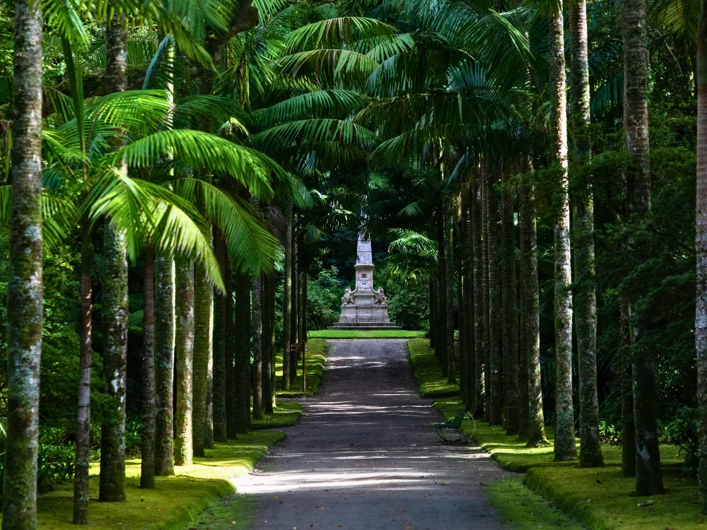 A lush escape in the heart of São Miguel