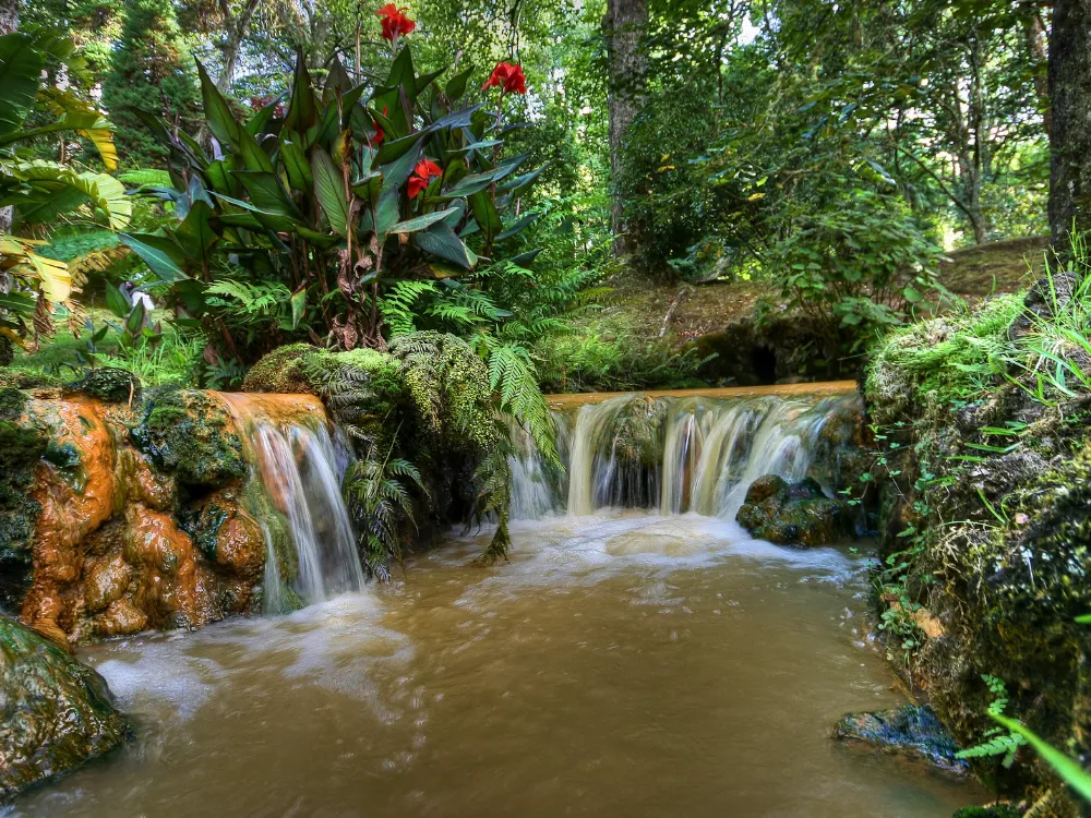 Discover the wonders of São Miguel